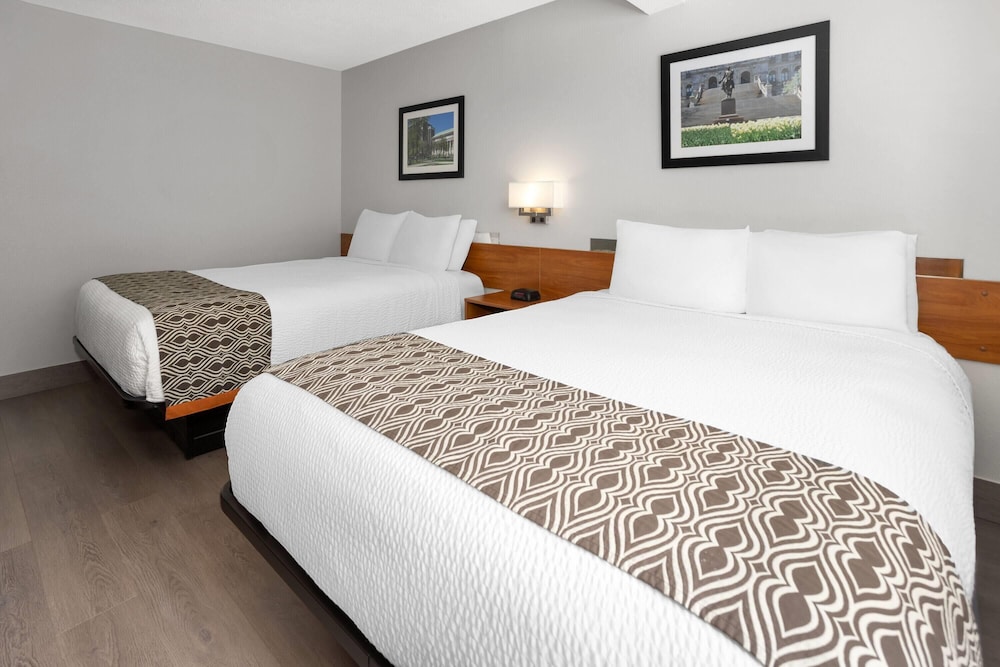 Microtel Inn Suites By Wyndham Albany Airport 9/49
