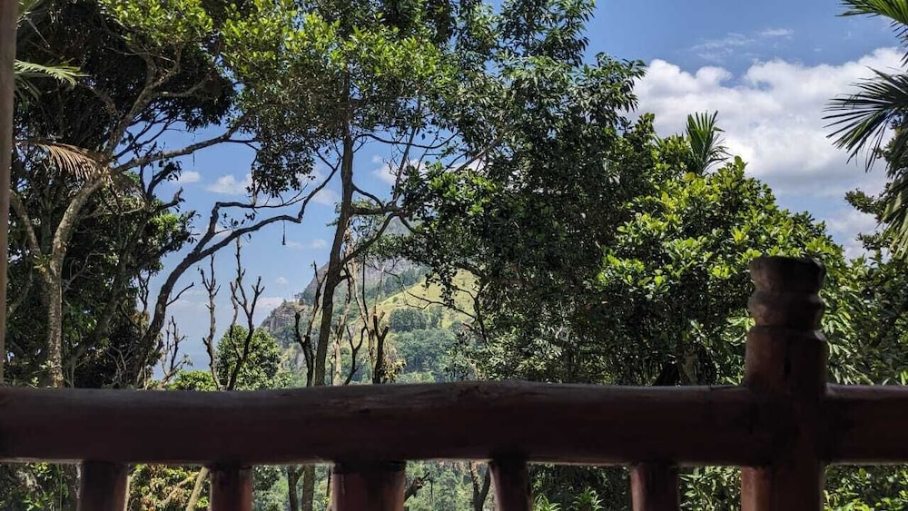 Nature Paradise Home Stay 36/50