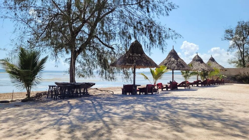 Perfect Home Two minutes to Kijiji Beach [VR] 36/50