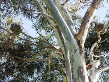 Melaleuca Motel 17/20