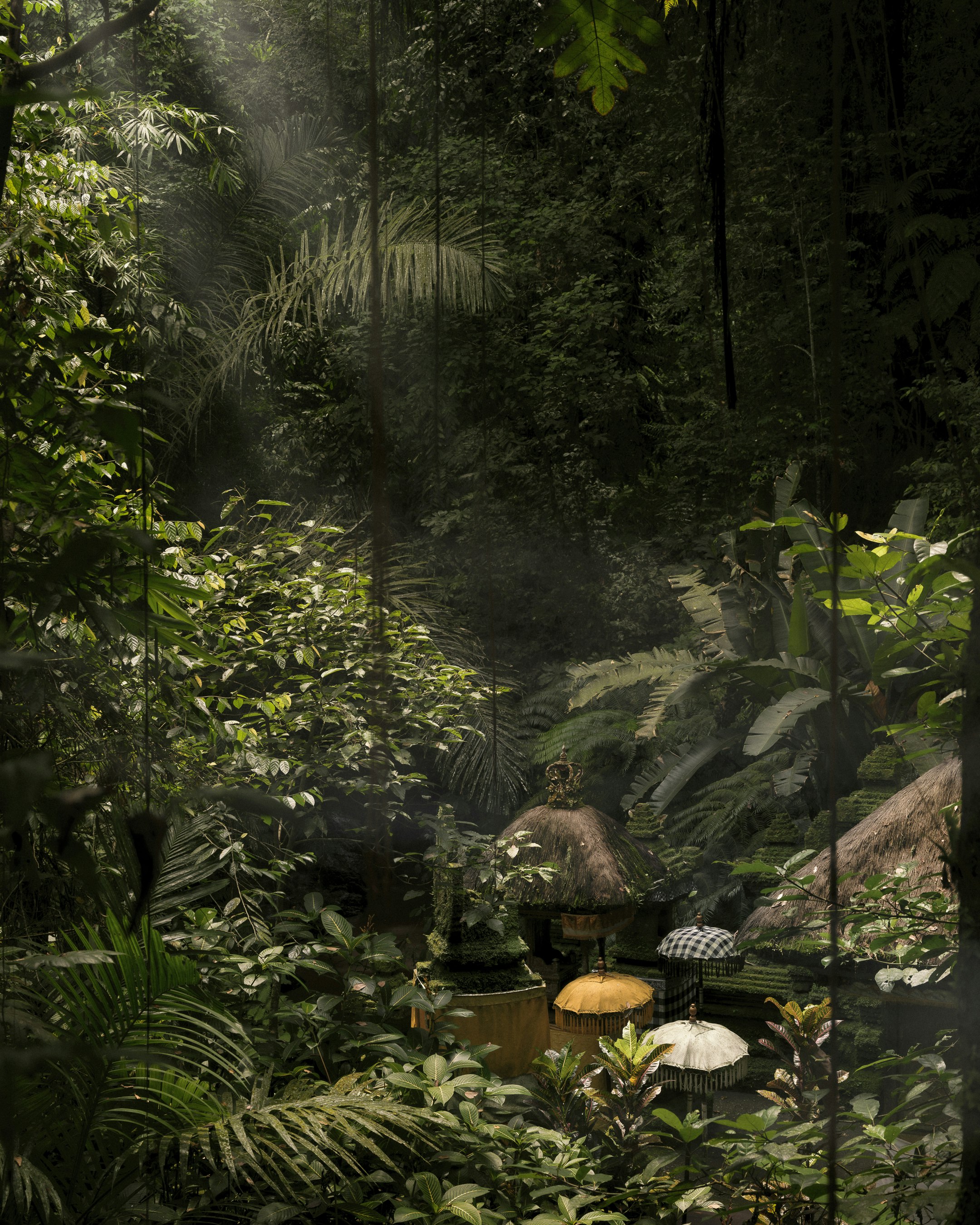 Capella Ubud Bali 12/43