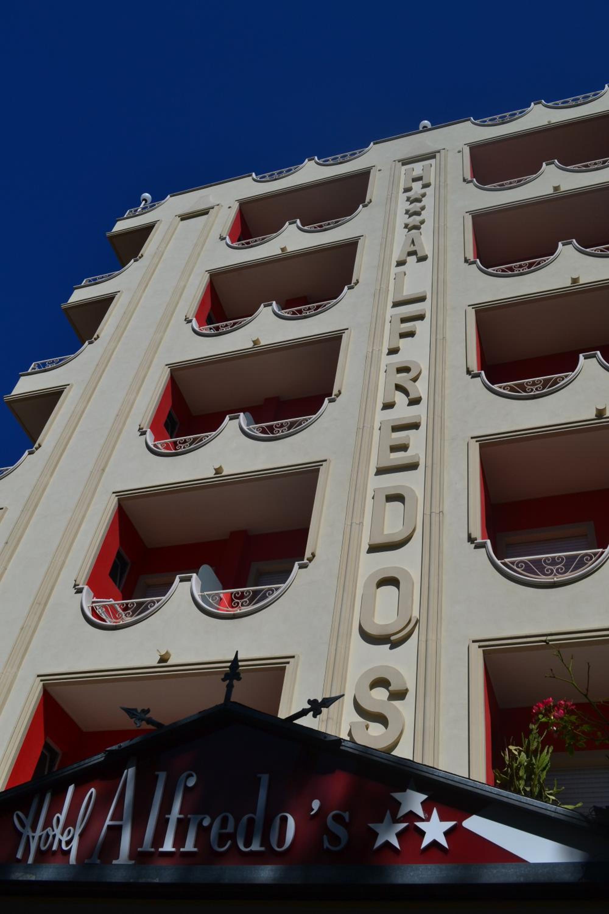Hotel Alfredo's photo4