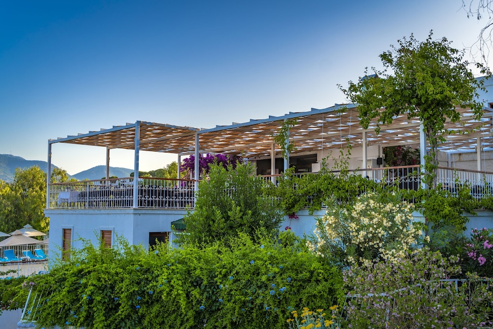 Riva Bodrum Resort - Adult Only +16 6/67