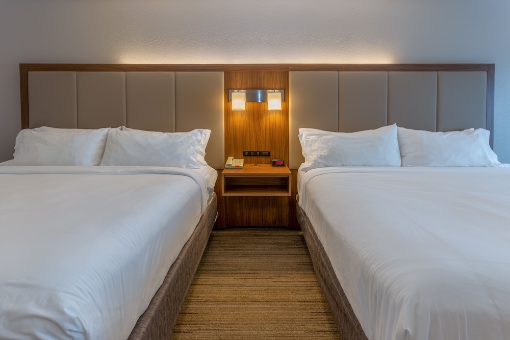 Holiday Inn Express Indianapolis Southeast 20/69