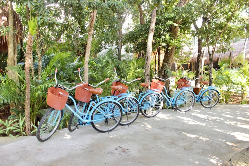 Kimpton Aluna Resort Tulum 40/48