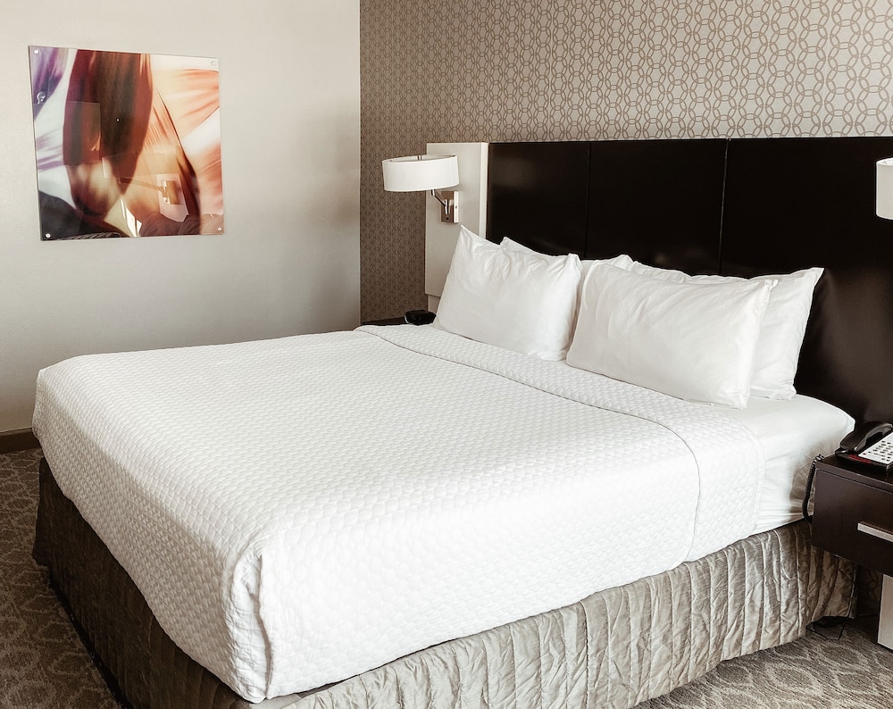 Crowne Plaza Chicago Sw Burr Ridge 15/59