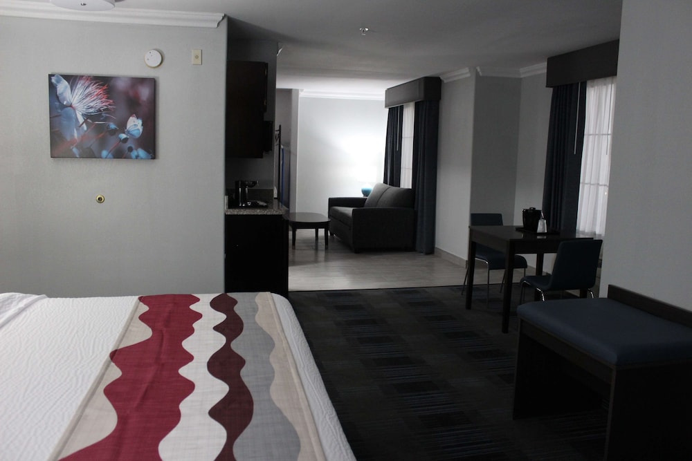 Best Western Medical Center North Inn and Suites Near Six Flags 11/37