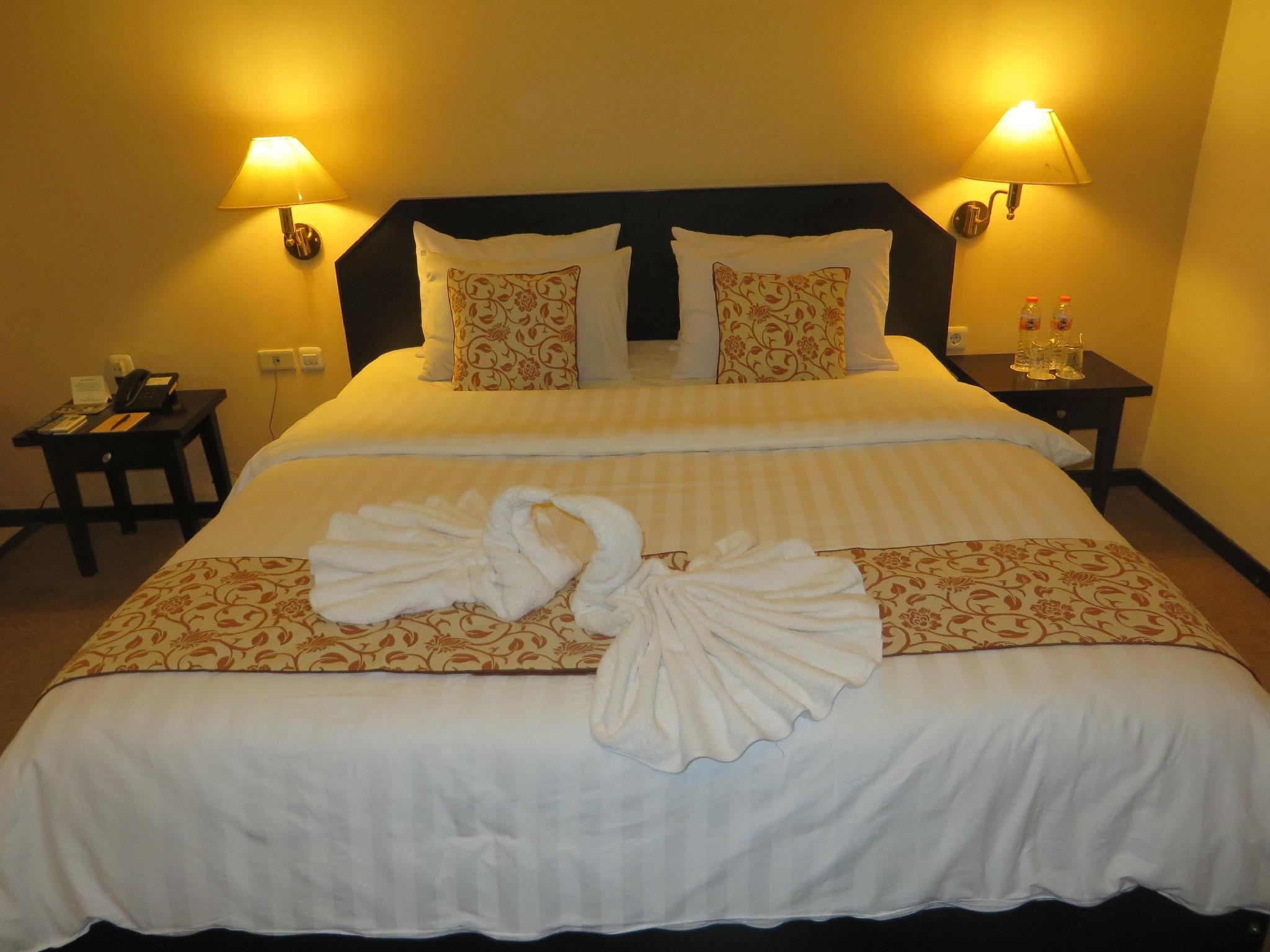 Insumo Palace Hotel and Resort 17/35
