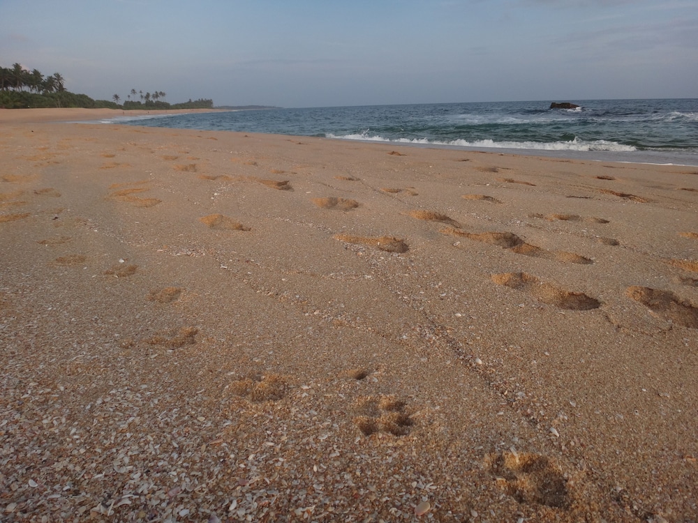 Seagulls Beach & Garden Cabanas. 13/26