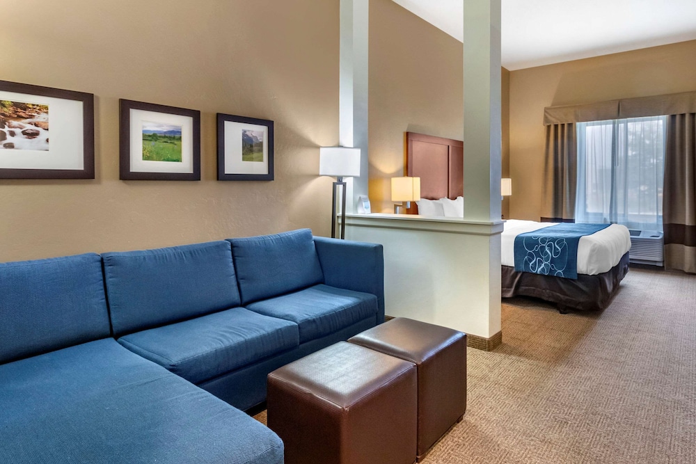 Comfort Suites Airport-University 18/33