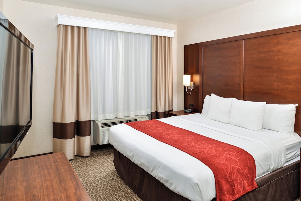 Suite, King Bed, Sofa, Living Area