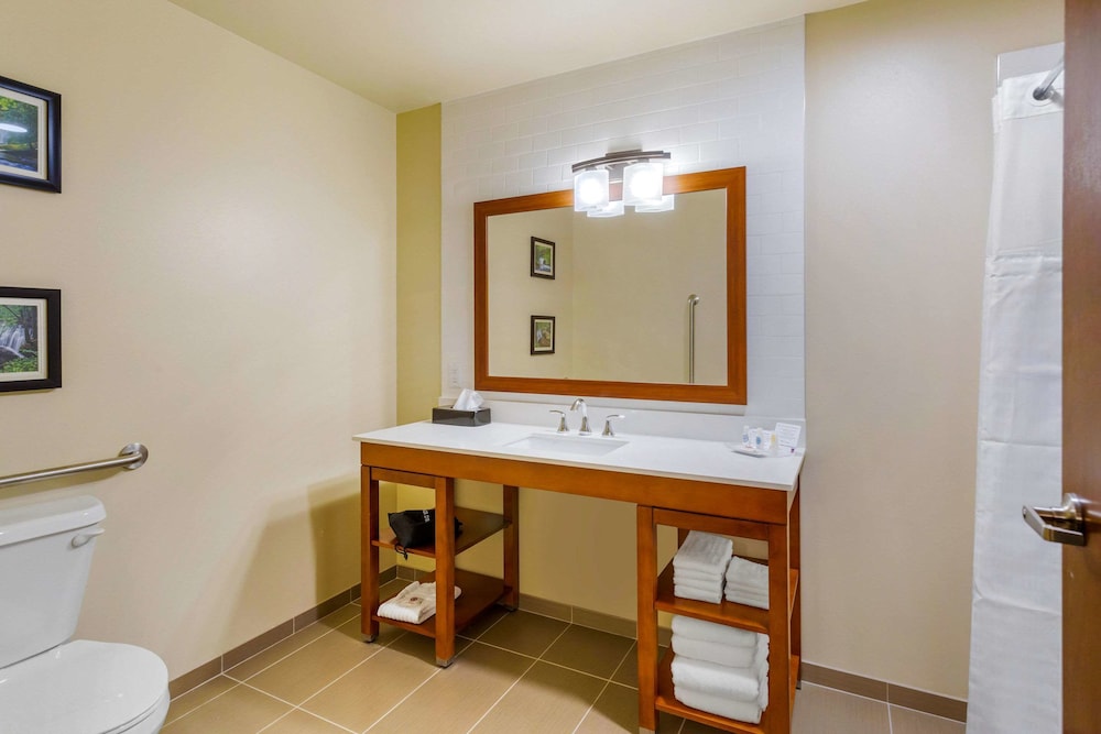 Comfort Suites Burlington Near I-5 14/37