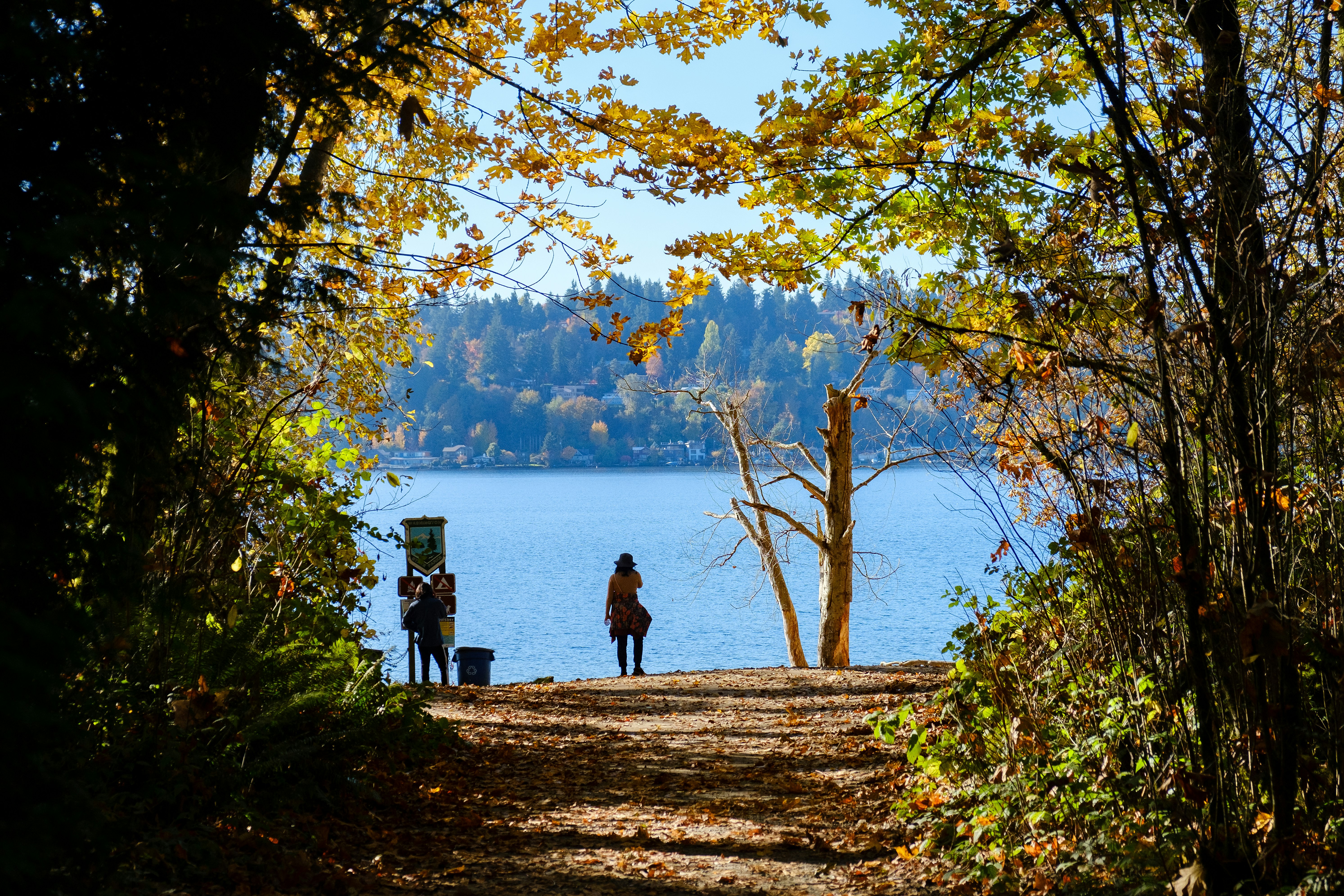 The Lodge at St Edward State Park 39/50