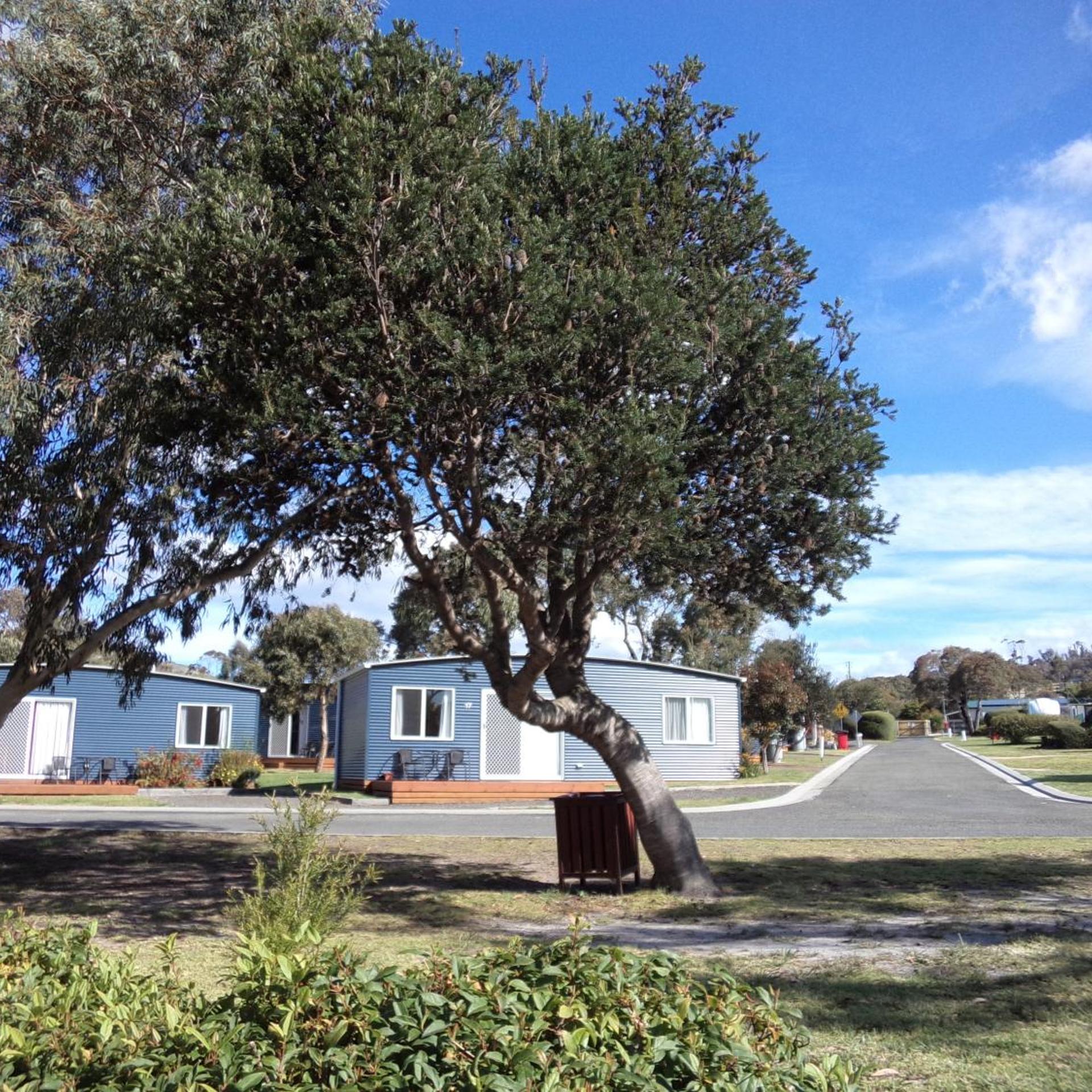 Bicheno East Coast Holiday Park 50/53