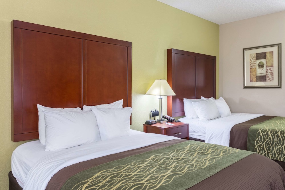 Comfort Inn Decatur Priceville 14/49