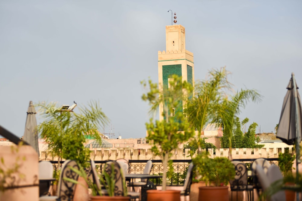 Riad Yacout 2/76