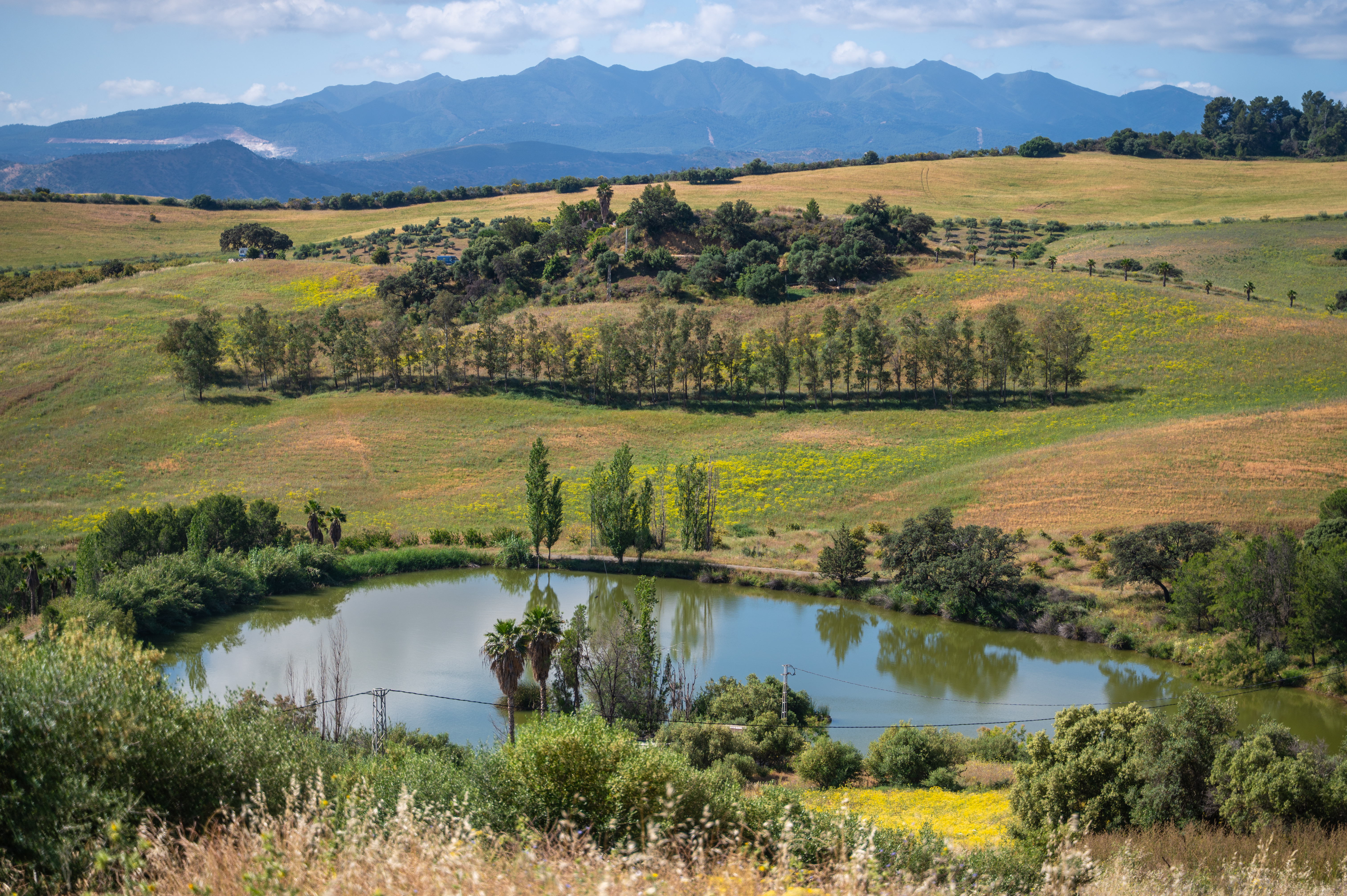 Malaga Sierra de las Nieves by Real Spain hotels 44/50