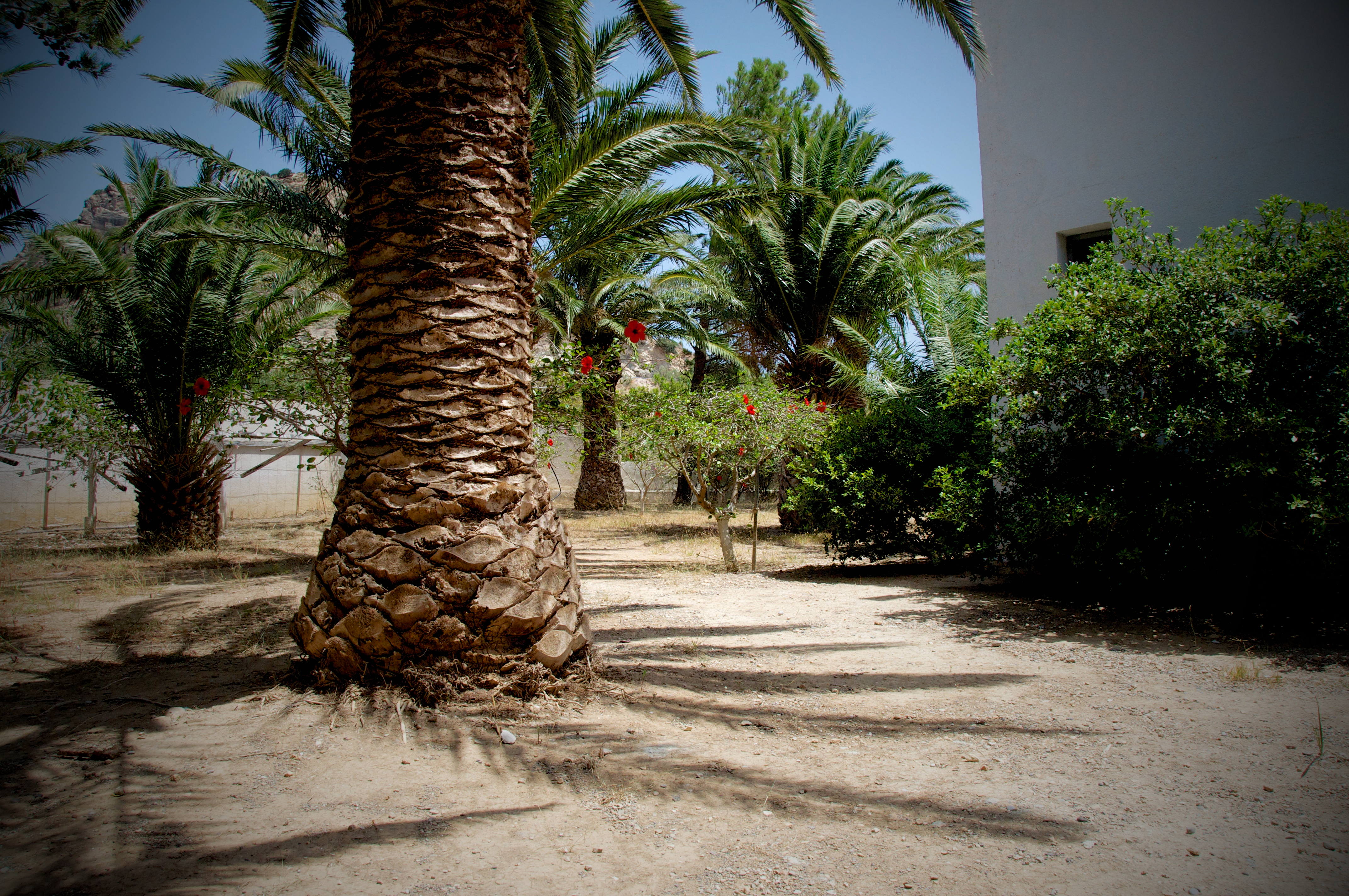 Avra Beach 11/14