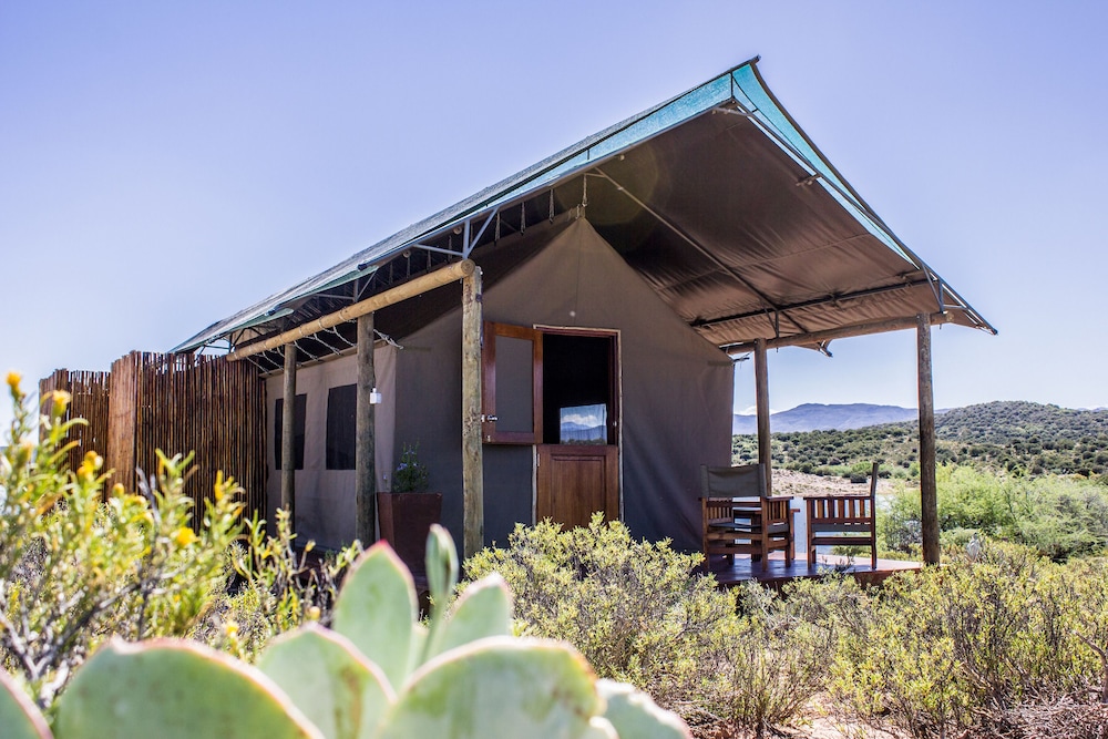 Buffelsdrift Game Lodge 7/73