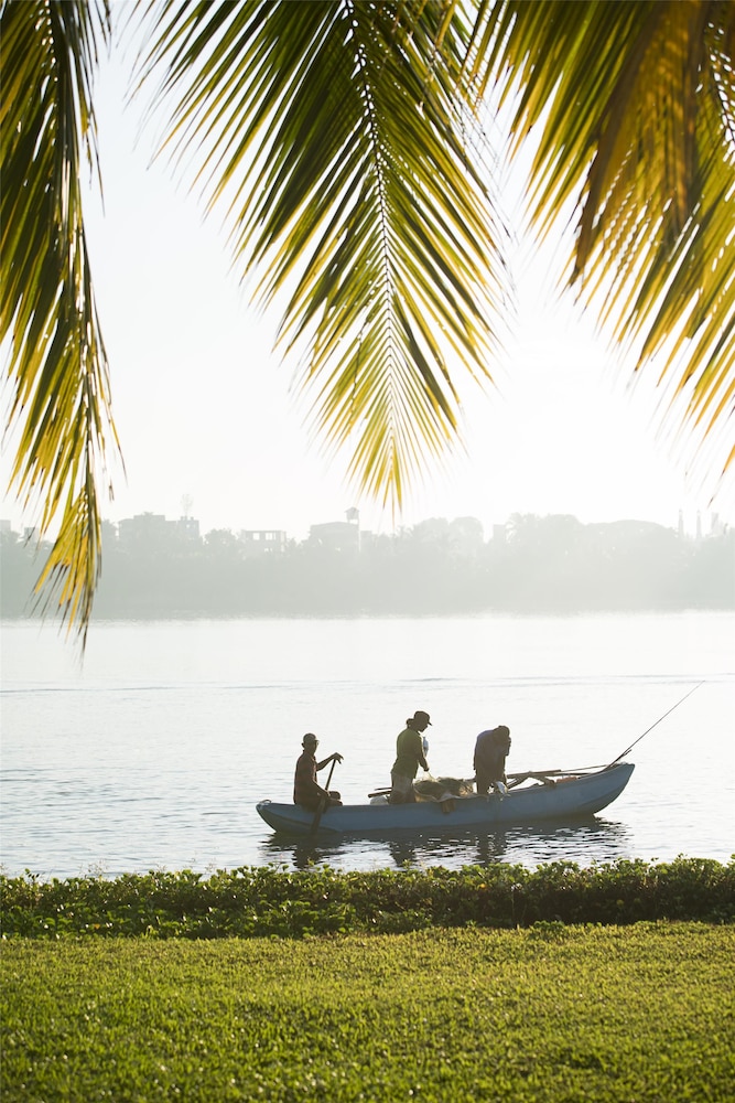 Avani Kalutara 45/50