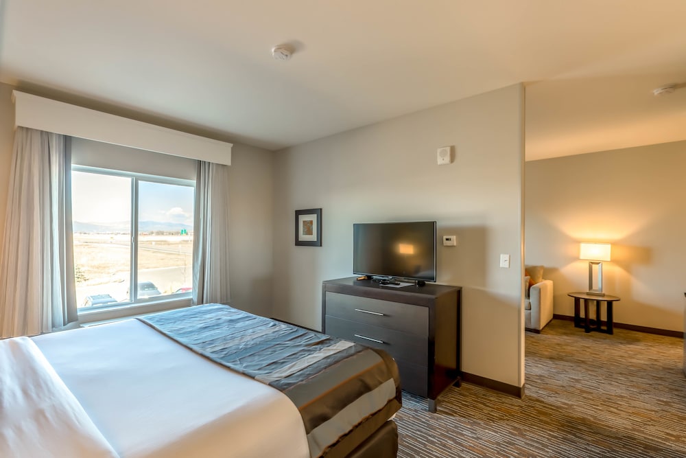 Studio, Suite, King Bed