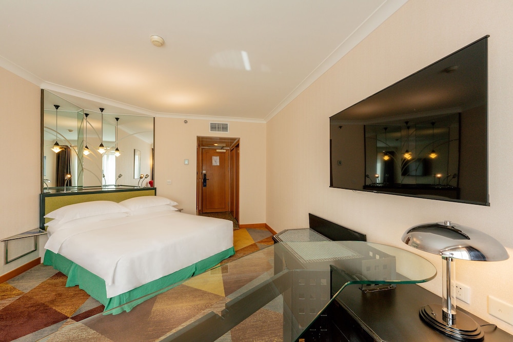 Grand Skylight Hotel Royal 19/34