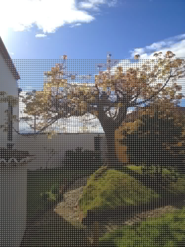 CASA DAS CALHETAS 30/42