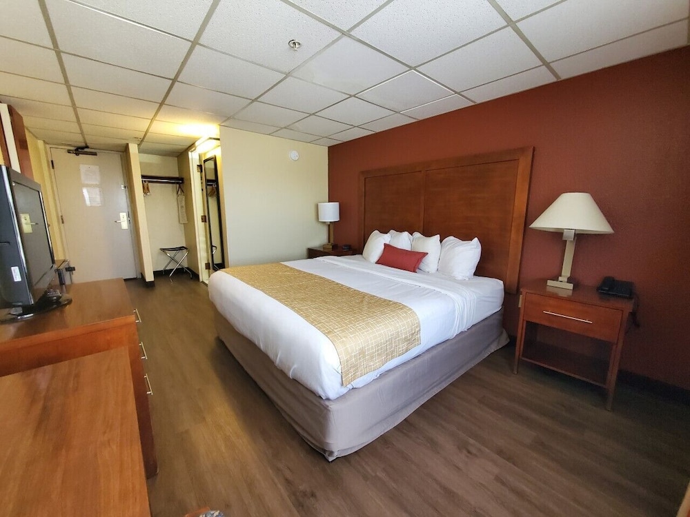 Room, King Bed