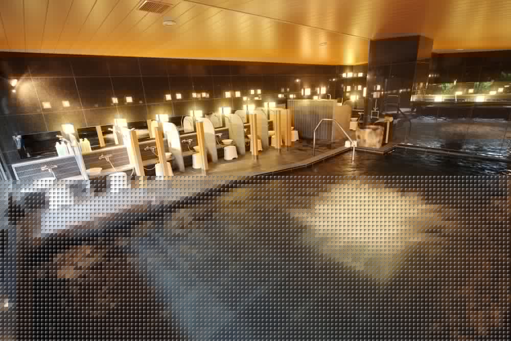 APA Hotel & Resort Tokyo Bay Shiomi 60/65