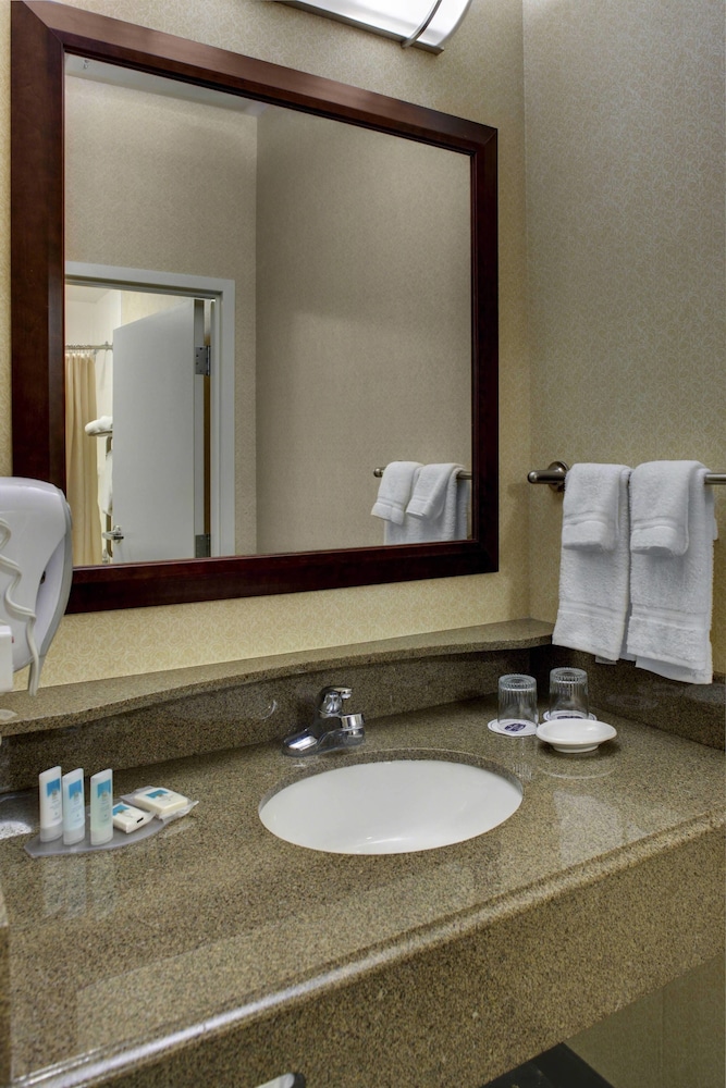 Springhill Suites By Marriott Memphis Downtown 10/32