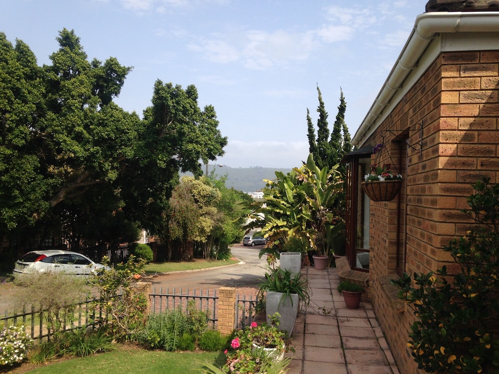 Blue Fern of Knysna 2/50
