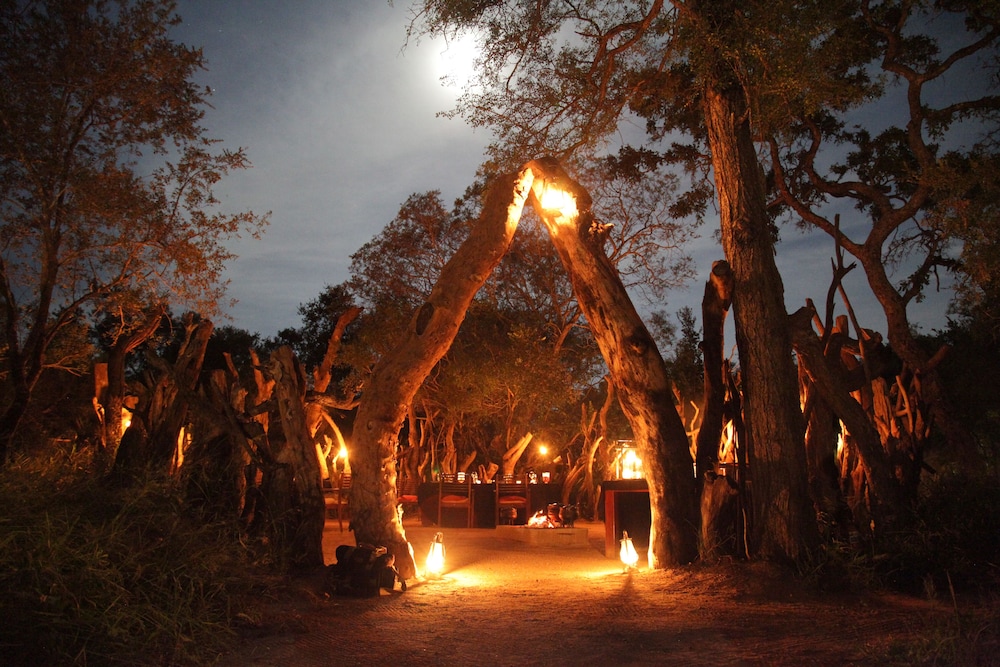 Tintswalo Safari Lodge 44/50