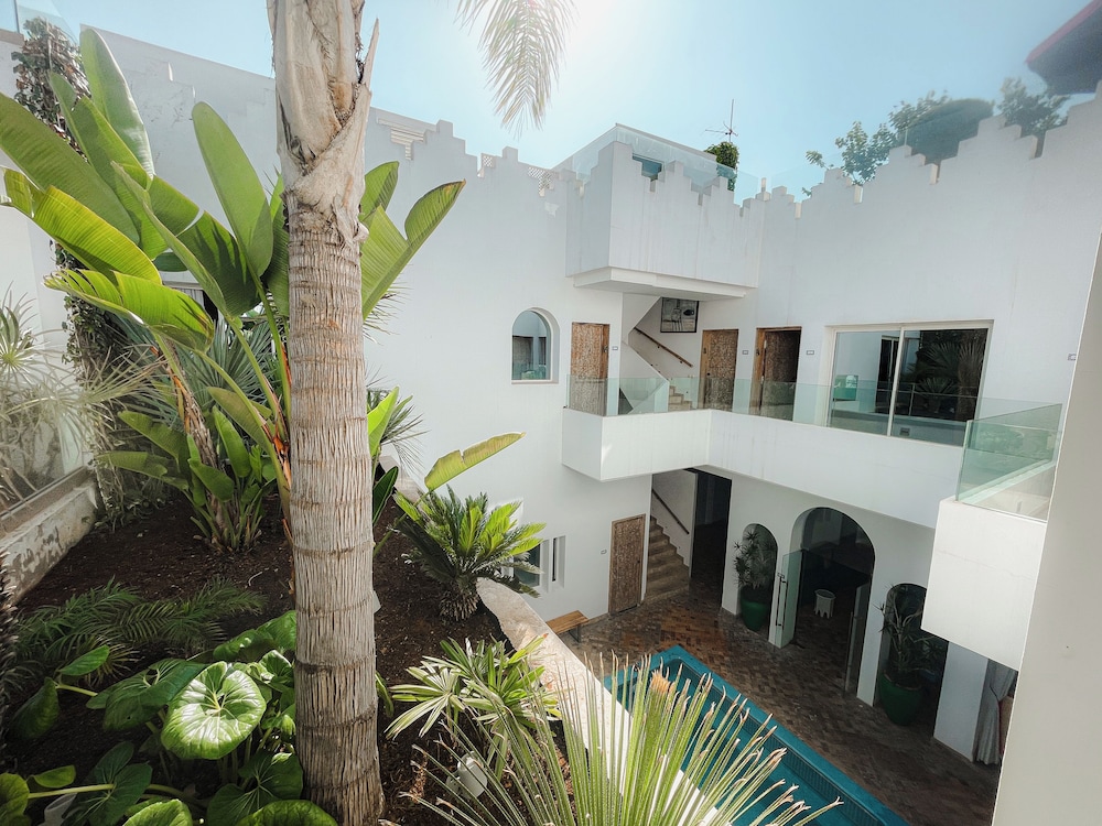 Riad Zyo 3/50