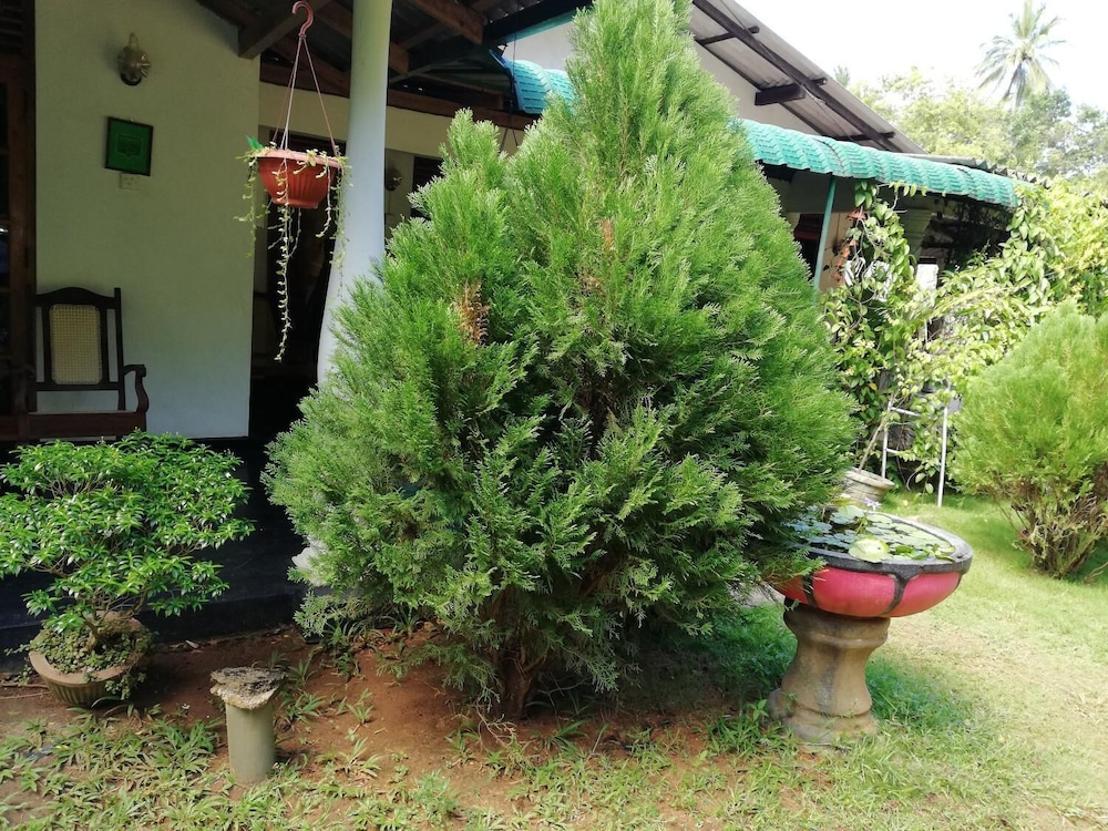 Lal Homestay 47/50