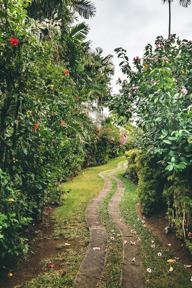 KARIWAK VILLAGE HOLISTIC HAVEN HOTEL 37/50