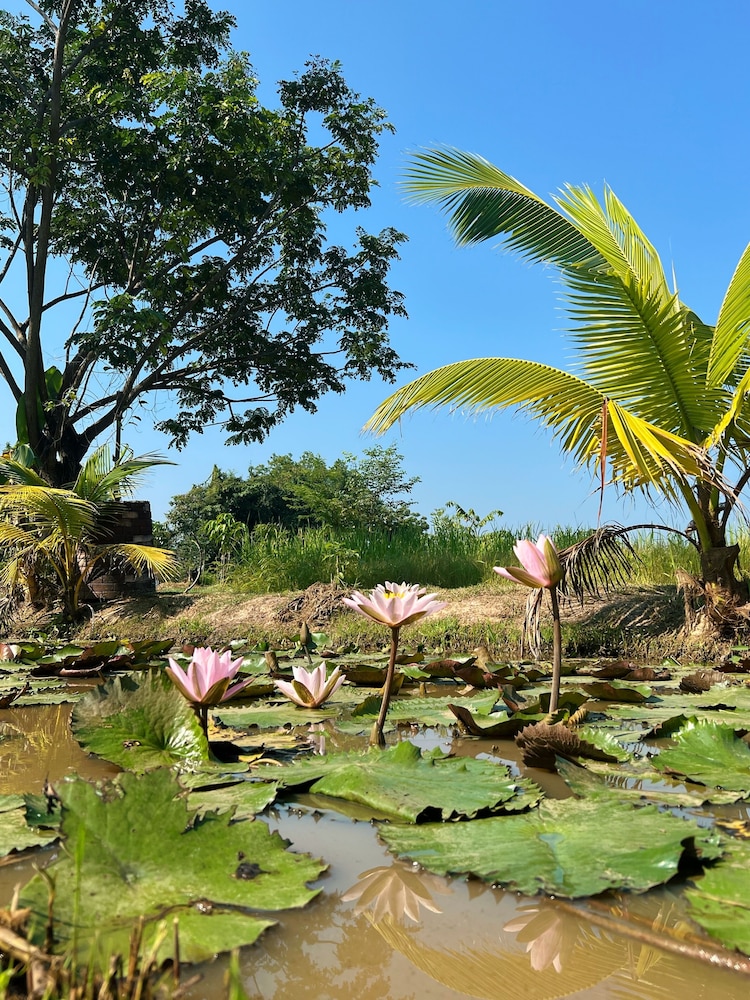 Sukhothai City Resort 19/50