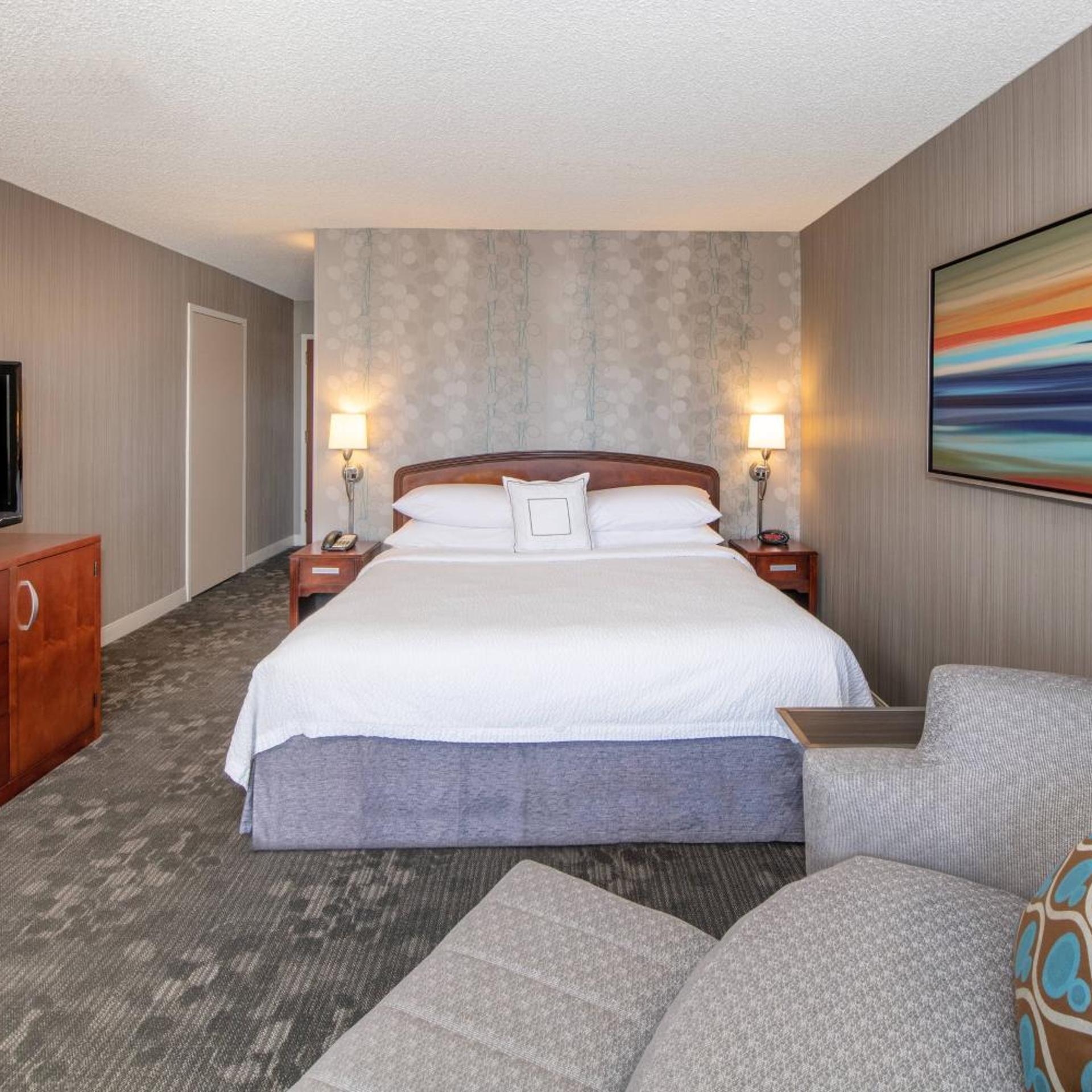 Room, King Bed, Large