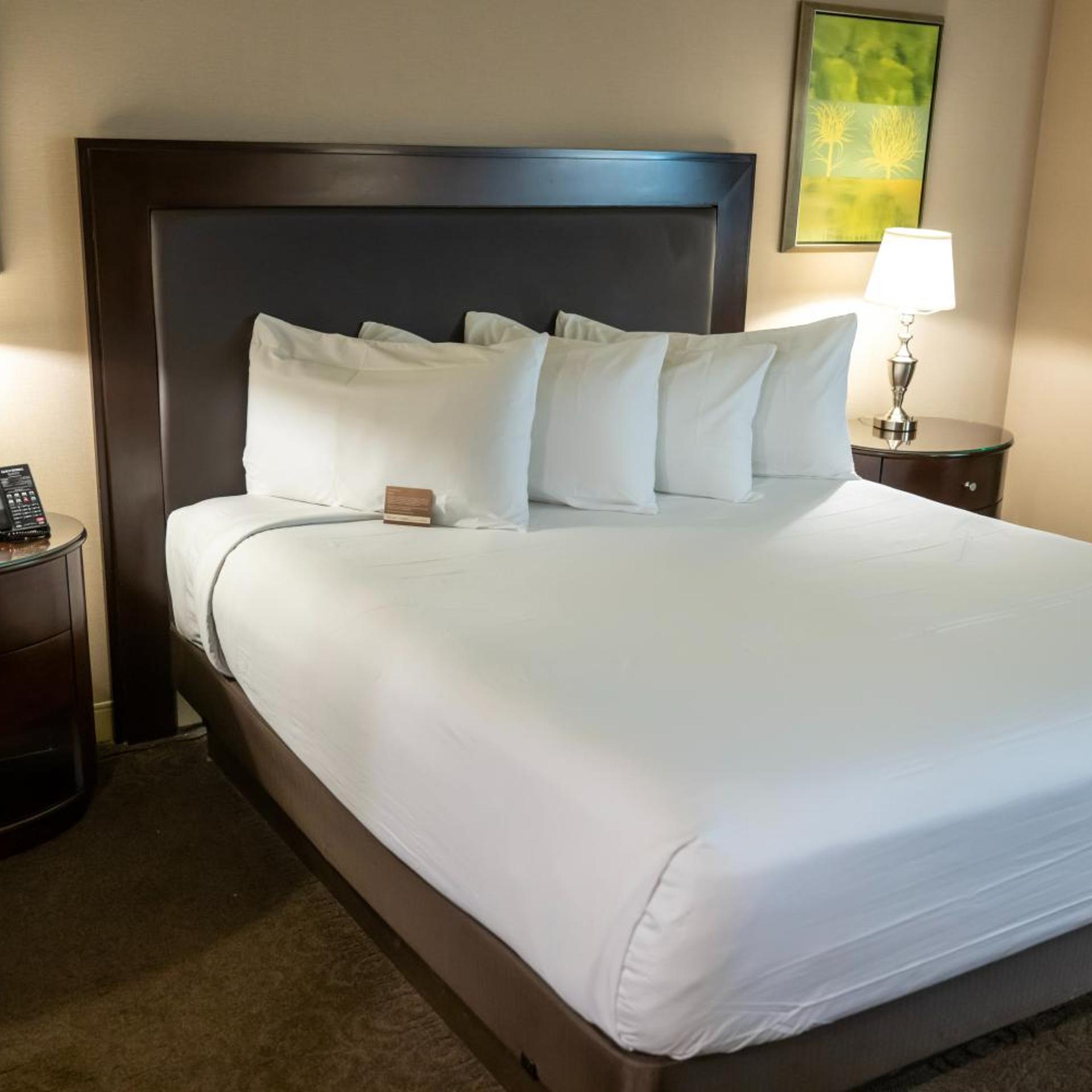 Room, Single, Accessible