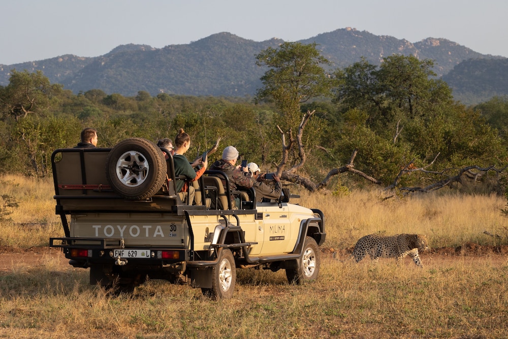 Milima Big 5 Safari Lodge 41/50