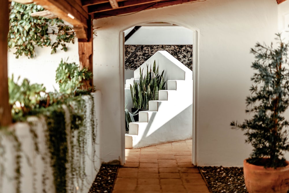 Cottage Inn & Spa 24/72