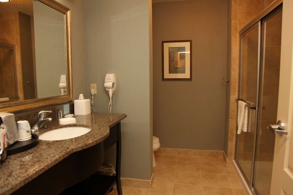 Hampton Inn And Suites Carlsbad Nm 13/37