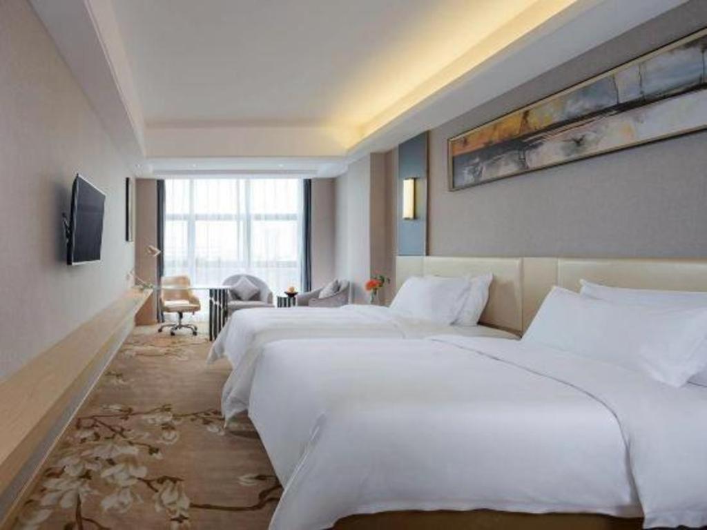 Vienna Hotel (Zhongshan Xiaolan High Speed Railway Station) 27/59