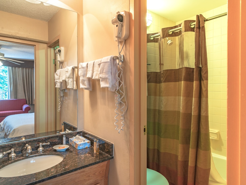 Snowmass Mountain Chalet 38/43