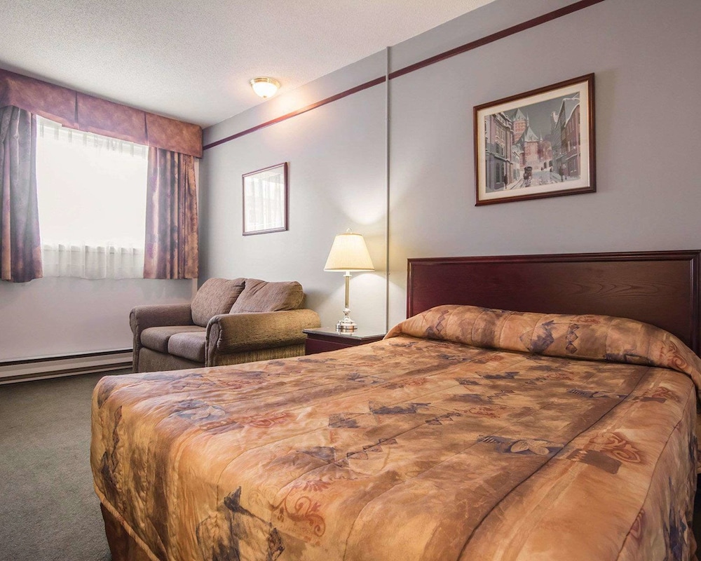 Repotel Levis 24/48