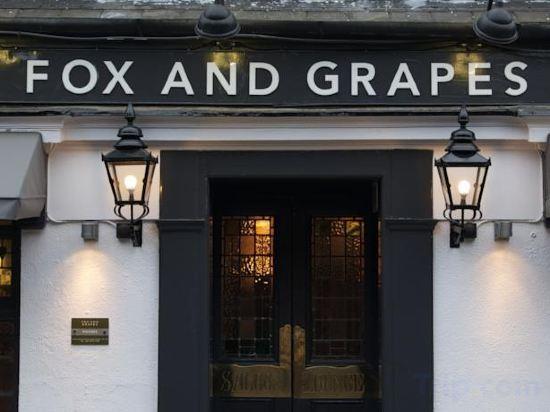 Fox and Grapes 3/37
