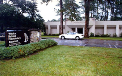 Best Western Inn of Palatka 35/38