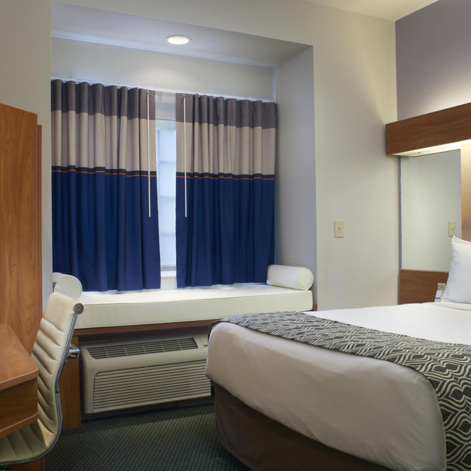 Studio, Suite, Queen Bed, Sofa