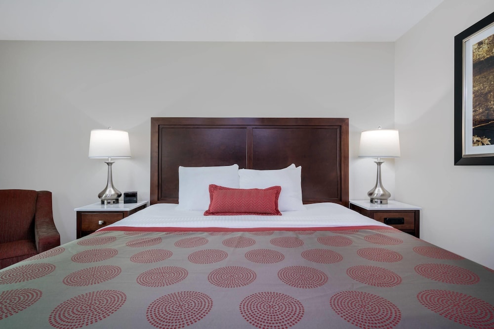 Classic, Single, King Bed, Accessible