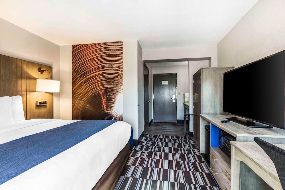 ROOM, KING BED, ACCESSIBLE