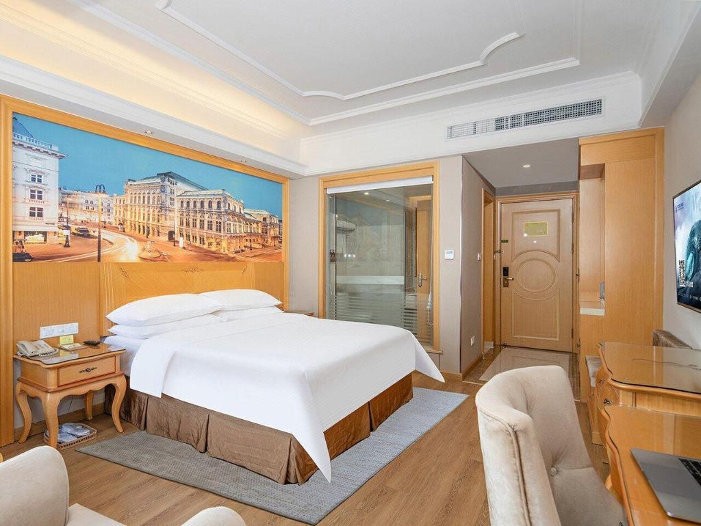 Vienna Hotel (Dongguan Dongcheng) 33/49
